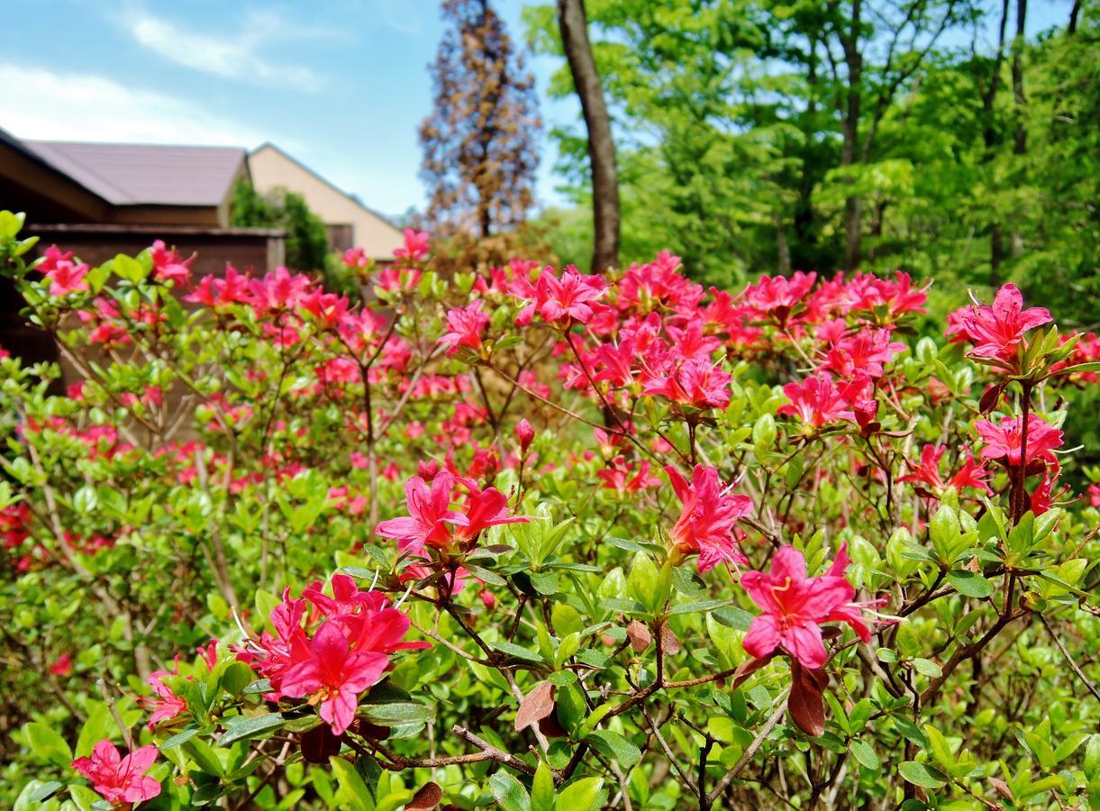 拉波特罗纳芳香花园别墅 那须岳 外观 照片